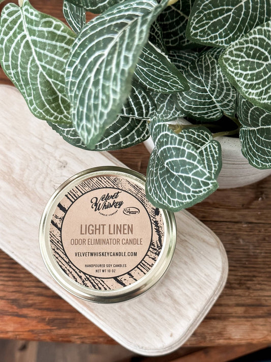 11 oz Light Linen Candle - The Mustard Seed Collection, The Seed