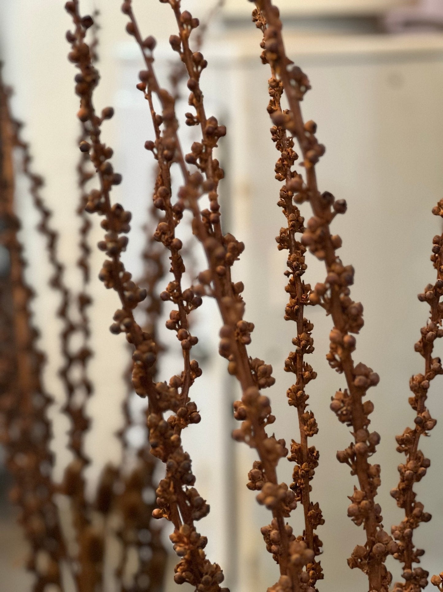 20" Amber Vase with Dried Floral Stalks - The Mustard Seed Collection, The Seed