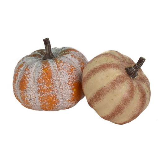 2.5"-3" Fairytale Pumpkins - The Mustard Seed Collection, The Seed