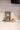 Festive Frasier Holiday Flower Diffuser Bridgewater Candle Company