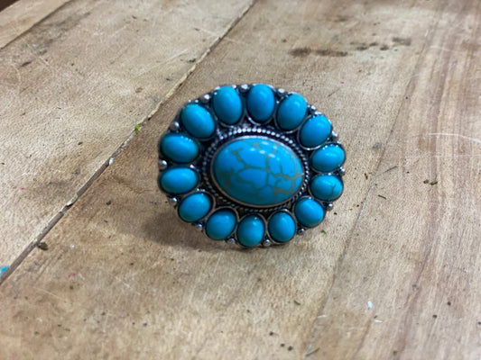 Western Design Turquoise Knob