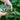 New Colors! Garden Pruners: Lavender Modern Sprout