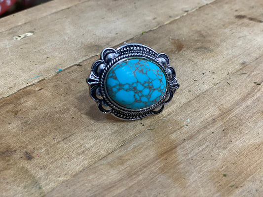 Turquoise Knob