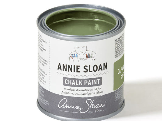 Chalk Paint 120ml Capability Green