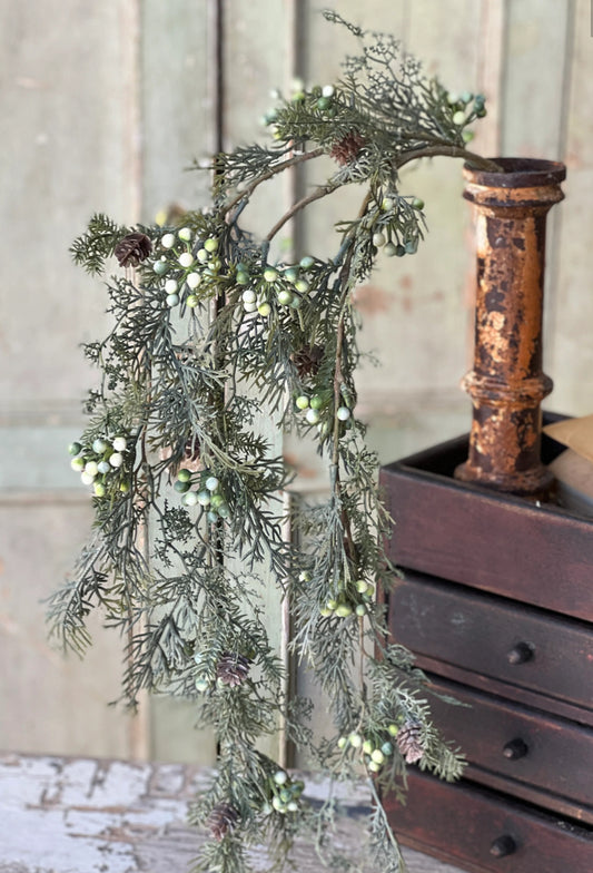 39” Siberian Fresh looking Cypress Hanging