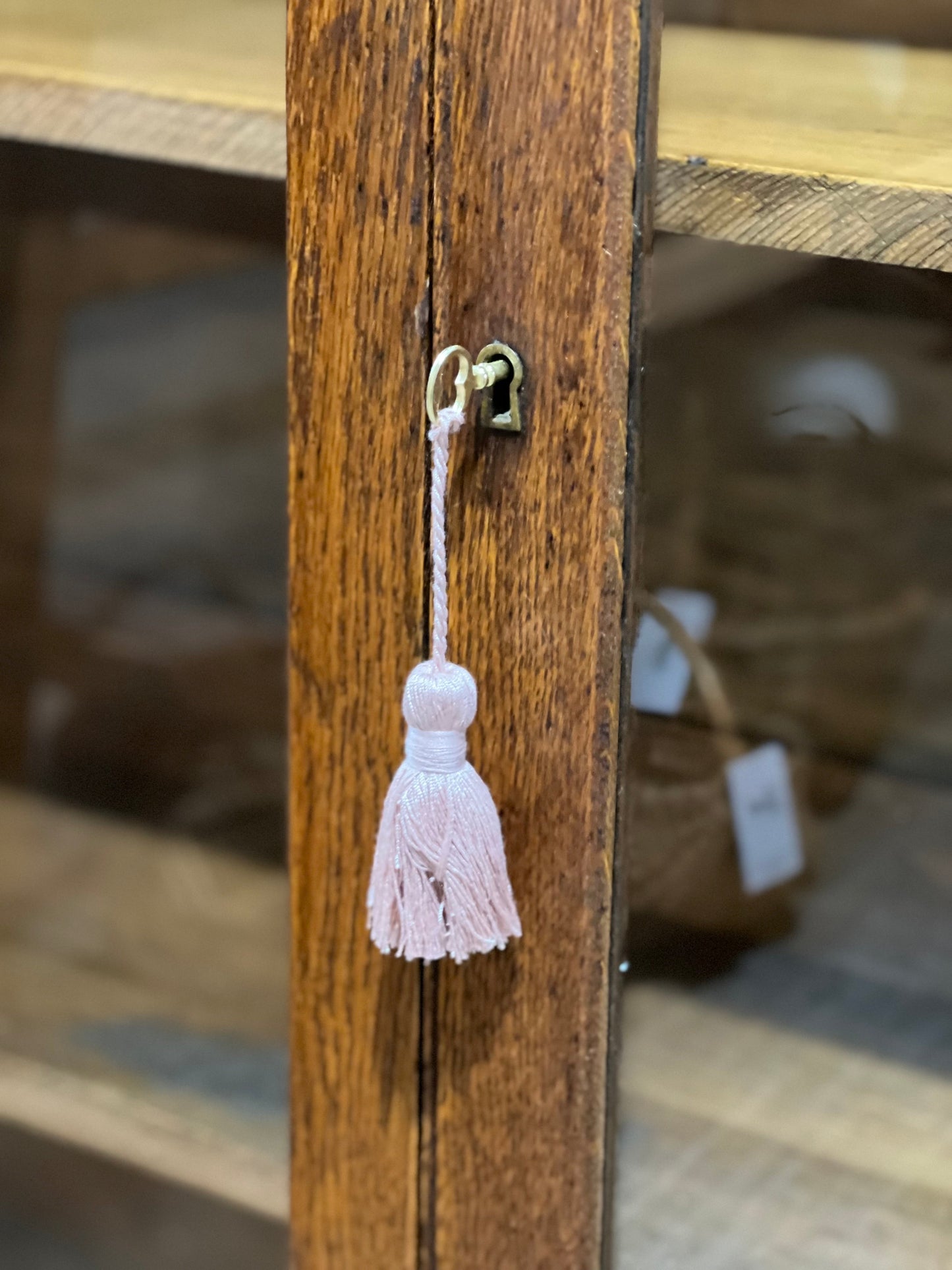 Antique Enclosed Bookcase with Key