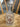 Dairy Bottle The Mustard Seed Collection, The Seed