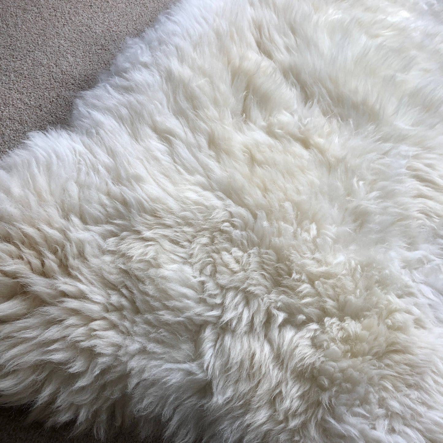 XXL British White Sheepskin Rug 100% Ecotanned