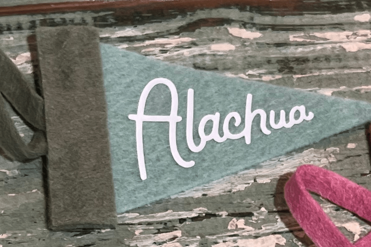 Alachua Mini Pennant Green Teal