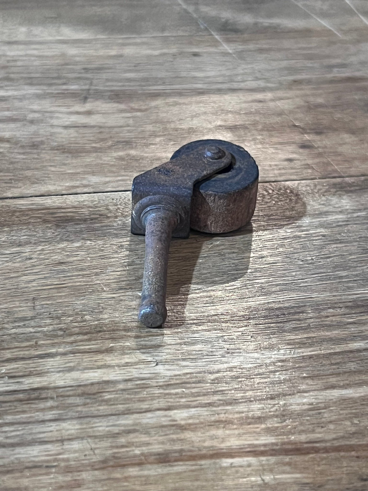 Antique Furniture Caster - The Mustard Seed Collection, The Seed