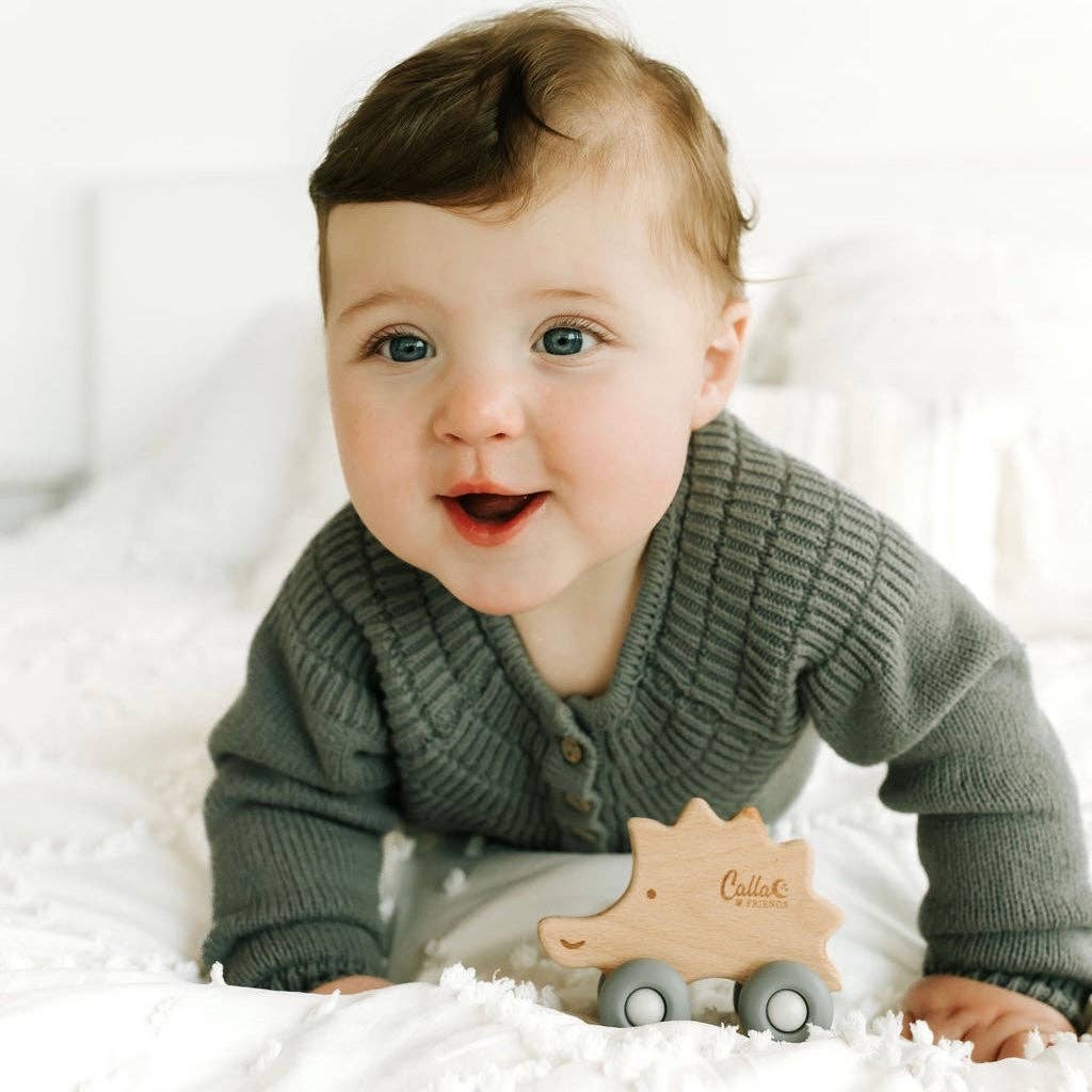 Hedgehog Silicone & Beechwood Teether Toy: Petal Pink