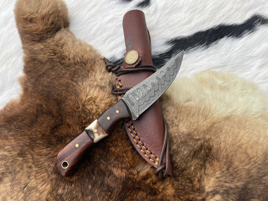 Damascus Steel Skinner Knife with Rosewood & Stag Grip - The Mustard Seed Collection, The Seed