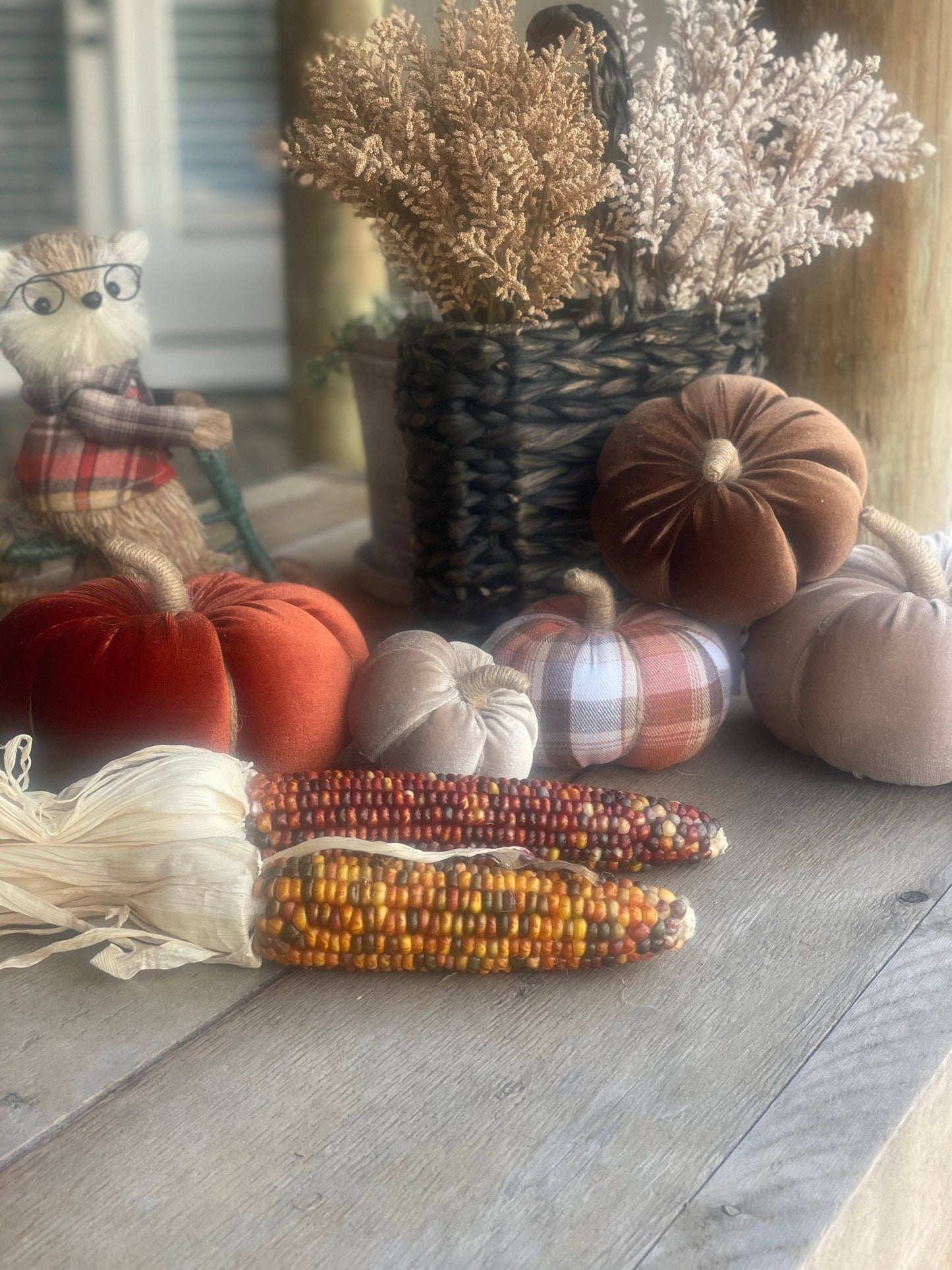 Lrg. Desert Velvet Fall Pumpkin