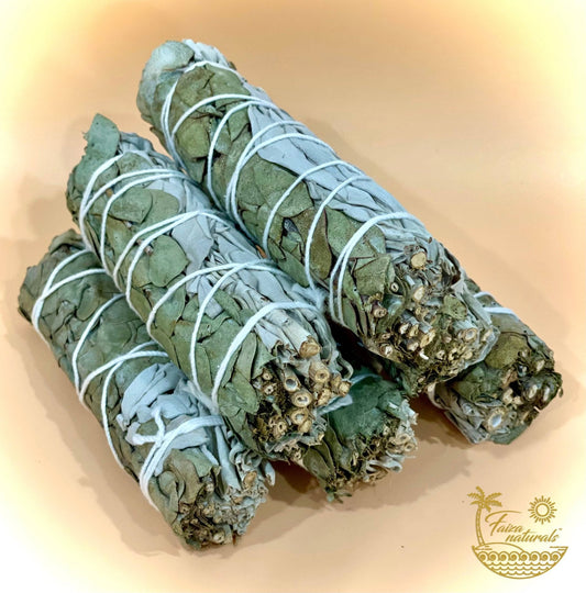 Eucalyptus and White Sage Bundles - The Mustard Seed Collection, The Seed