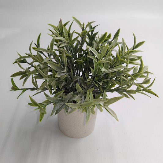 Greenery in White Pot 7_ - The Mustard Seed Collection, The Seed