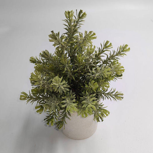 Greenery in White Pot 8.5" - The Mustard Seed Collection, The Seed