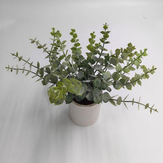 Greenery in White Pot 9.5" - The Mustard Seed Collection, The Seed