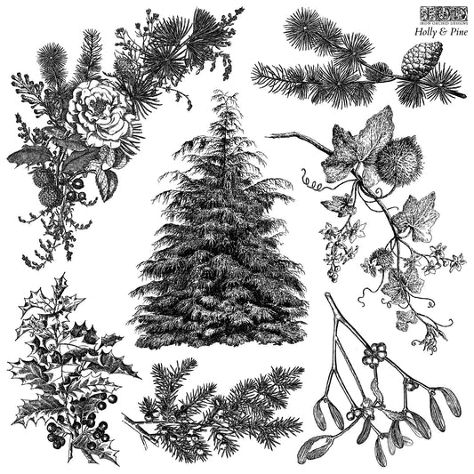Holly & Pine 12X12 IOD Stamp - The Mustard Seed Collection, The Seed