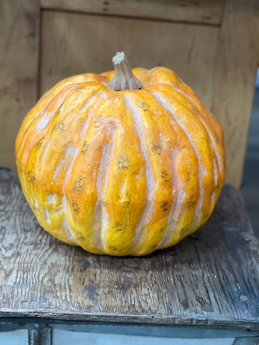 Honeyed Harvest Pumpkin - The Mustard Seed Collection, The Seed