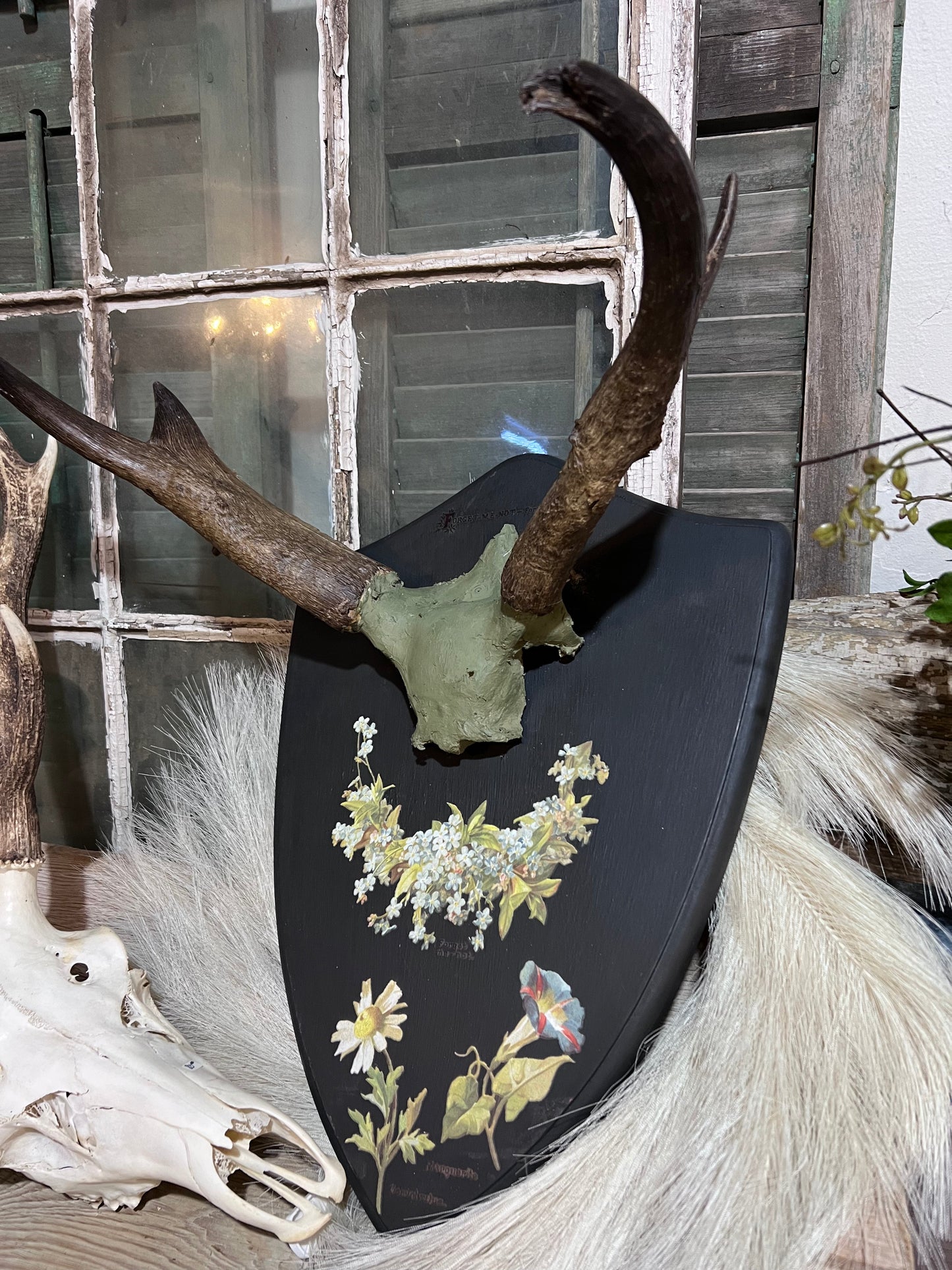 RAM Horns on Plaque