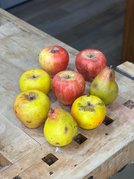Stone Artificial Fruit Collection - The Mustard Seed Collection, The Seed