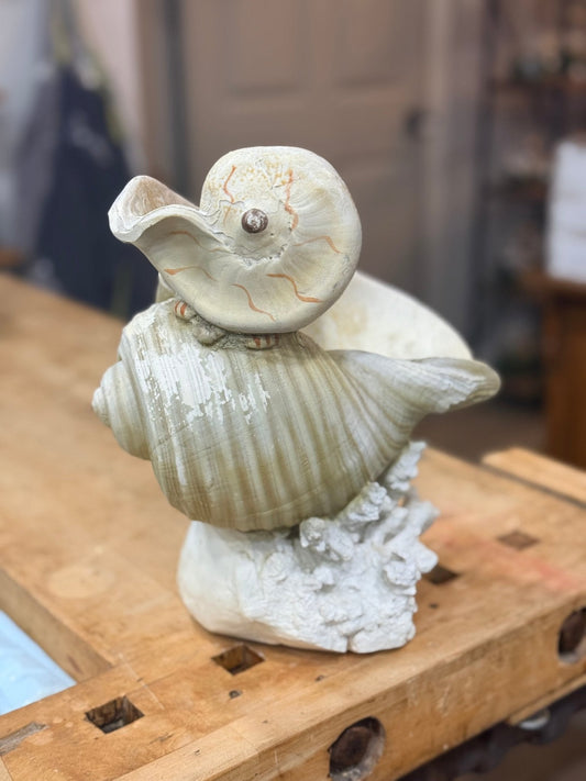 Water Feature Shell Sculpture - The Mustard Seed Collection, The Seed