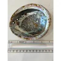 Abalone Shell Smudge Bowls