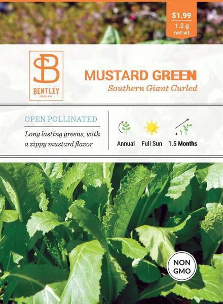 Bentley Mustard Green Southern Giant Curled Faire-Bentley Seeds