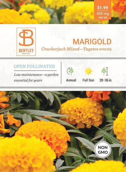 Bentley Marigold Crackerjack Mixed Tagetes Erecta Faire-Bentley Seeds
