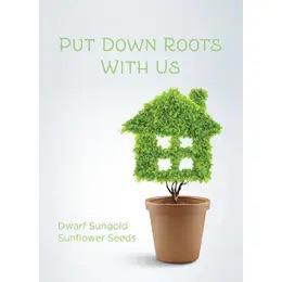 Bentley Put Down Your Roots Dwarf Sunflower Seed Packet