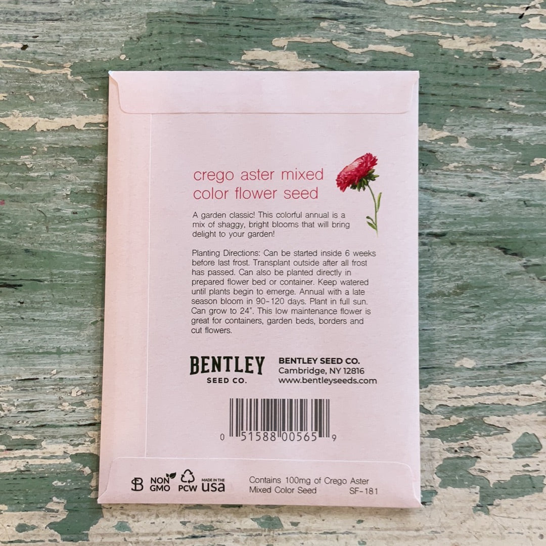Bentley Pick Me! - Aster Flower Packets Faire-Bentley Seeds