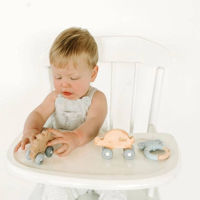 Turtle Silicone & Beechwood Teether Toy: Powder Blue