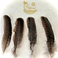 Feathers for Smudging