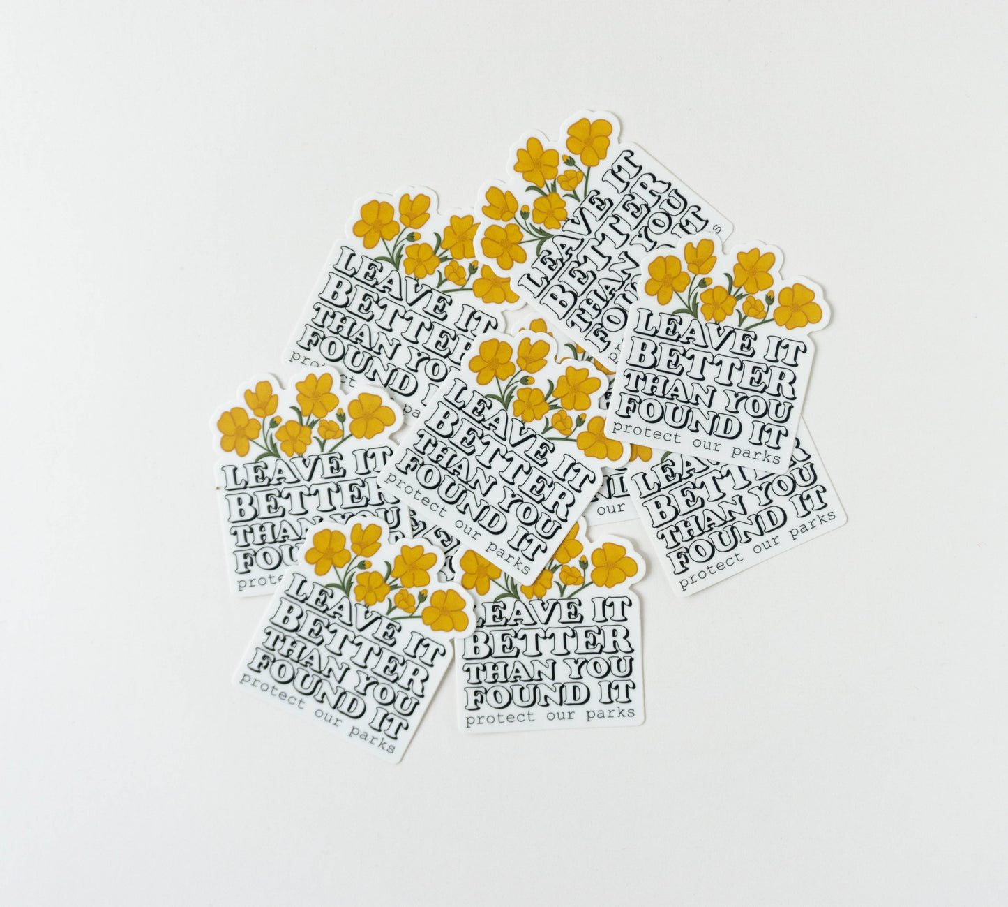 Leave it better than you found it national park sticker