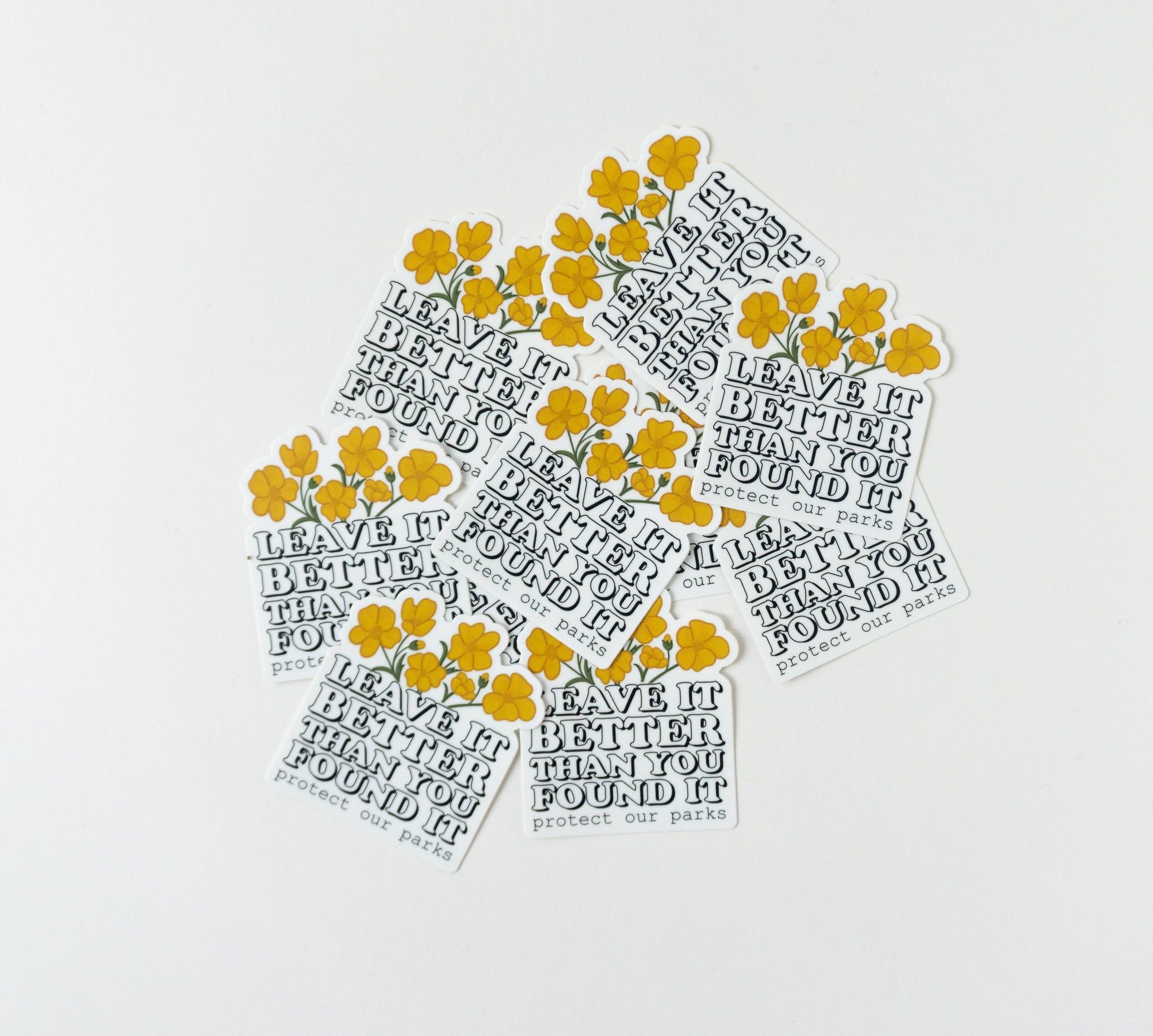 Leave it better than you found it national park sticker