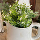 10" White & Green Leaf Floral Sprig - The Mustard Seed Collection, The Seed