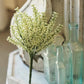 10.5" Bursting Astilbe White - The Mustard Seed Collection, The Seed
