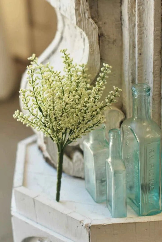 10.5" Bursting Astilbe White - The Mustard Seed Collection, The Seed
