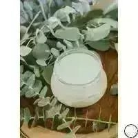 11 oz Eucalyptus Morning VW Candle - The Mustard Seed Collection, The Seed