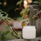 11 oz October Harvest Candle - The Mustard Seed Collection, The Seed