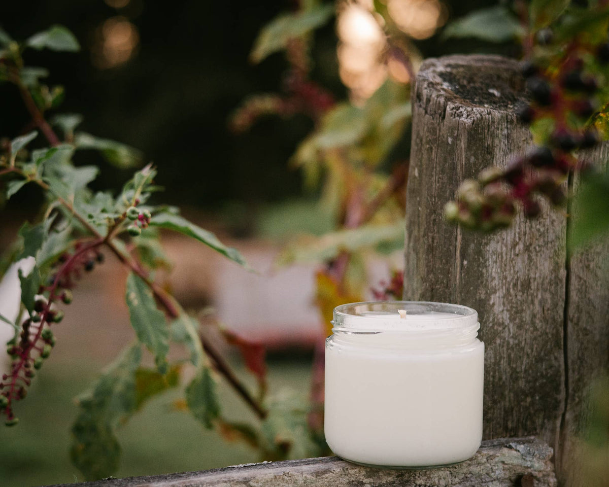 11 oz October Harvest Candle - The Mustard Seed Collection, The Seed