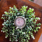 11" White Blooms Candle Ring - The Mustard Seed Collection, The Seed