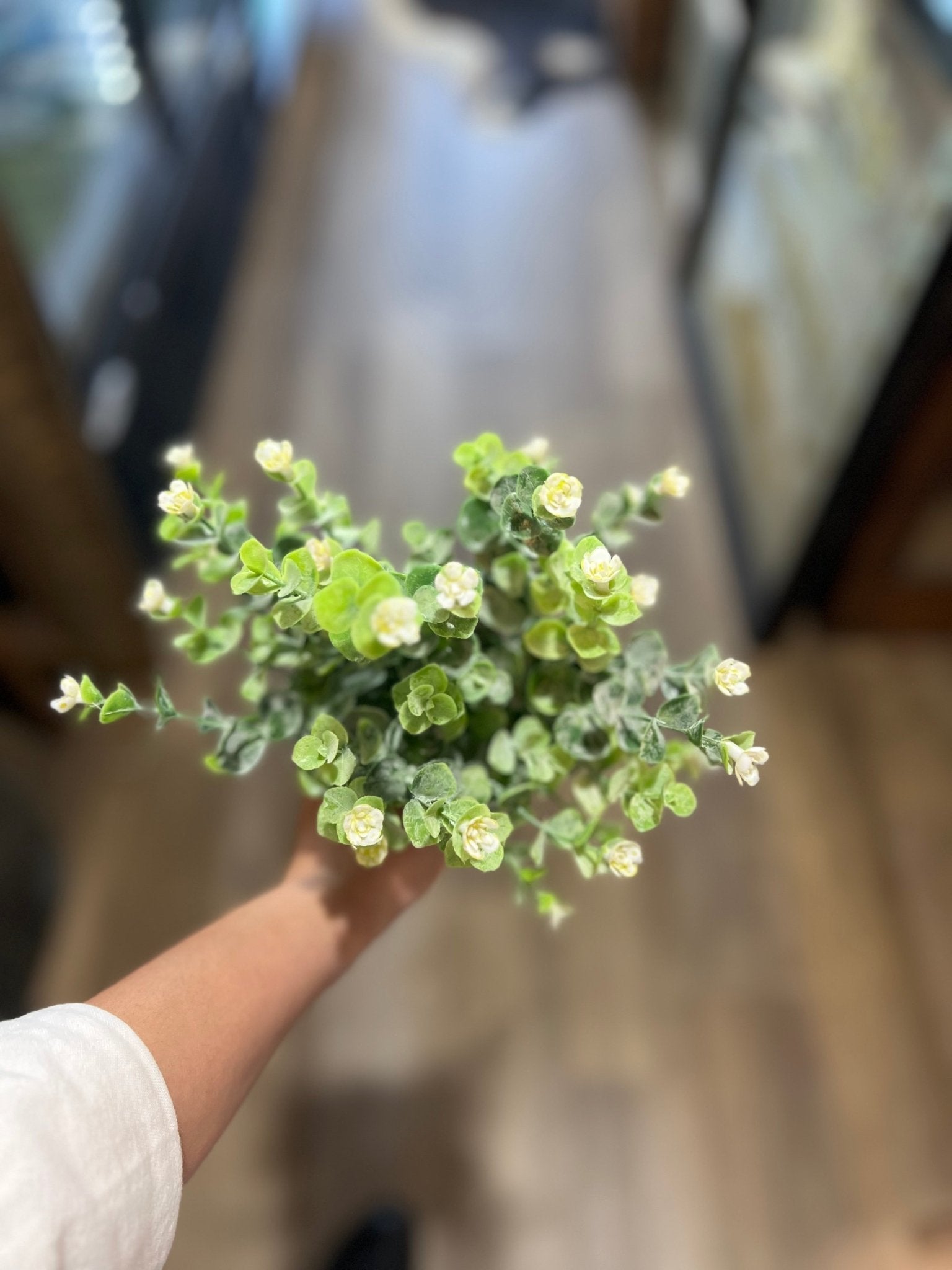 12" White & Green Leaf Floral Sprig - The Mustard Seed Collection, The Seed