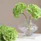12.5"Real Touch lifelike Hydrangea-6”bloom: Fresh Dark Green - The Mustard Seed Collection, The Seed