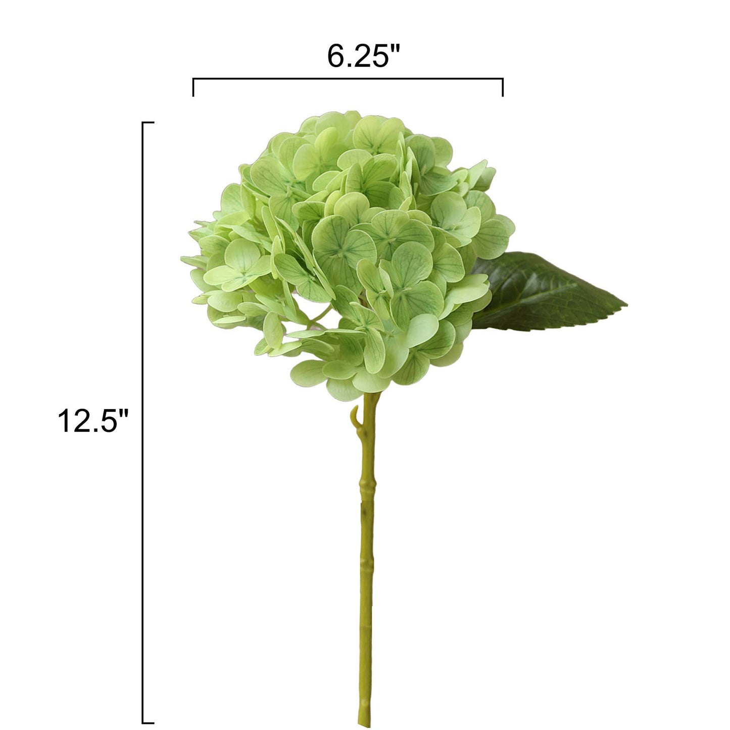 12.5"Real Touch lifelike Hydrangea-6”bloom: Light Green - The Mustard Seed Collection, The Seed
