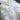 Icelandic White Long Fur Sheepskin Rug 100% Natural Sheep: XL Wildash London