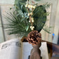 14” Greenwood Pine Pick - The Mustard Seed Collection, The Seed