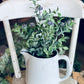 15" Purple & Green Leaf Sprig - The Mustard Seed Collection, The Seed