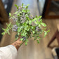 15" Purple & Green Leaf Sprig - The Mustard Seed Collection, The Seed
