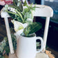 18" Green & White Floral Spray - The Mustard Seed Collection, The Seed